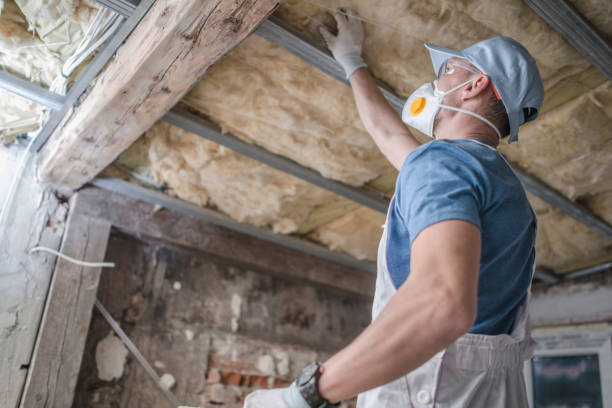 Best Insulation Installation Services in Bridgman, MI